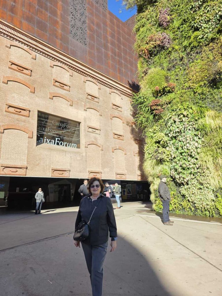 Acto de Presentación de los Resultados de la Convocatoria de Proyectos Sociales Comunidad de Madrid 2025 de la Fundacion La Caixa, en el Aud